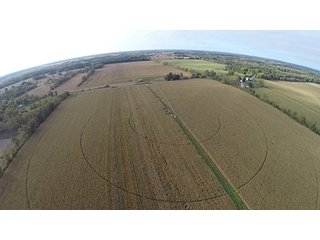 Property photo 5 - Southern Michigan Land Auction - 2 Auctions in 1 - 229+/- Acres and 66+/- Acres